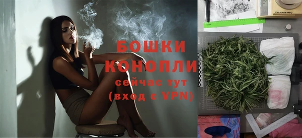 хмурый Верея