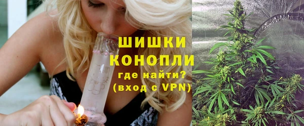 тгк Богданович
