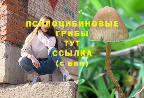 наркотики Богородск