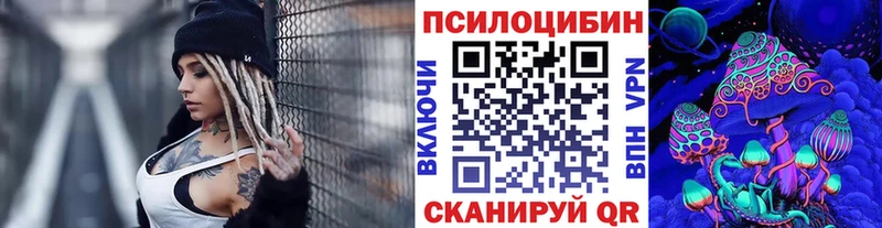 что такое   Волжск  Галлюциногенные грибы Psilocybe 